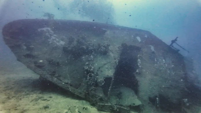 Wreck diving in Diani