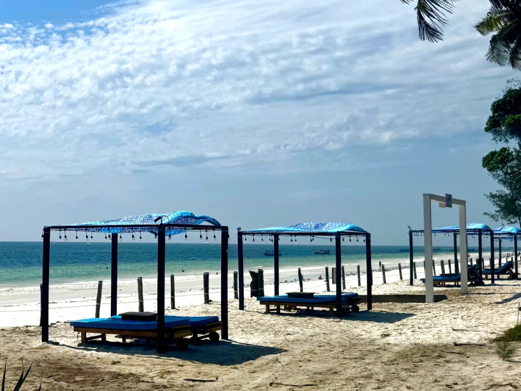 Dive in Diani Beach