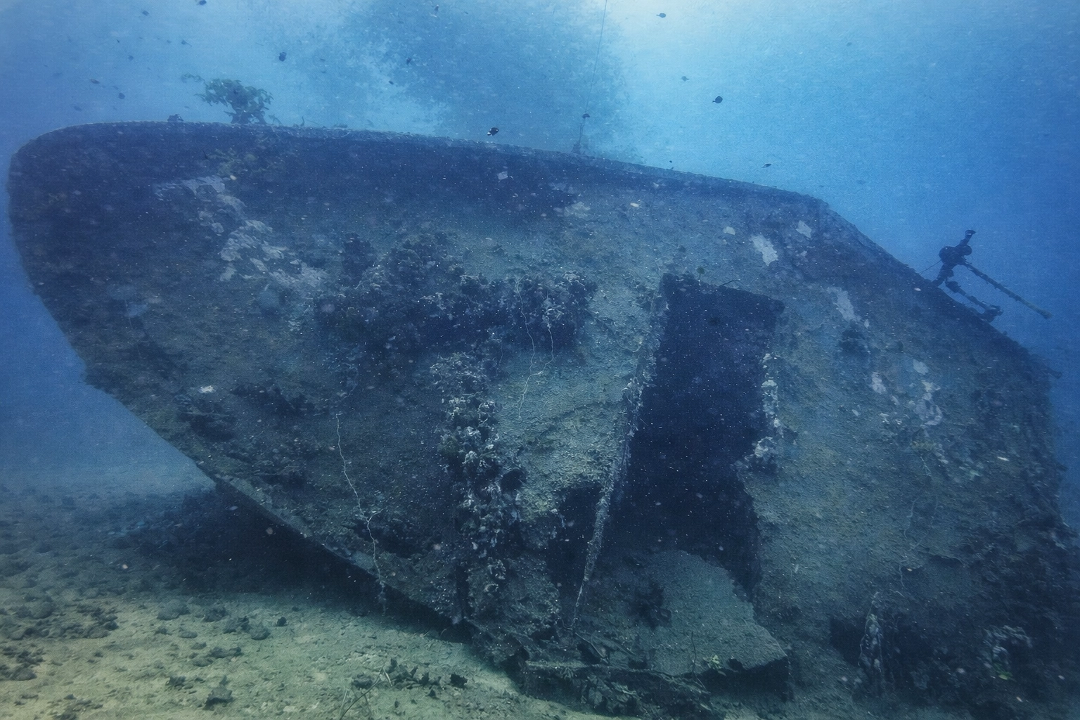 Diver exploring the MV Alpha Funguo wreck in Diani Beach