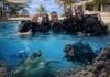 Become a Diving Instructor in Kenya in May 2026 diving instructor