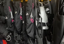 8 Reasons Why Every Diver Should Buy Their Own Dive Gear Dive gear