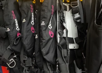 8 Reasons Why Every Diver Should Buy Their Own Dive Gear Dive gear