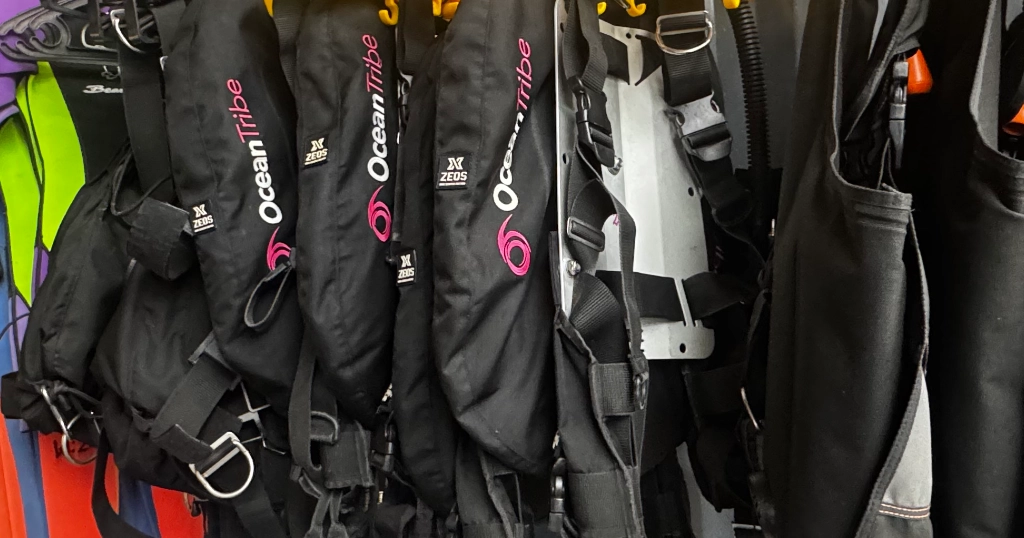 Dive gear