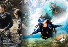 Dive Instructor Internships in Kenya: More Than Just Courses instructor internships