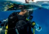 Why You Should Learn to Dive in Kenya learn to dive