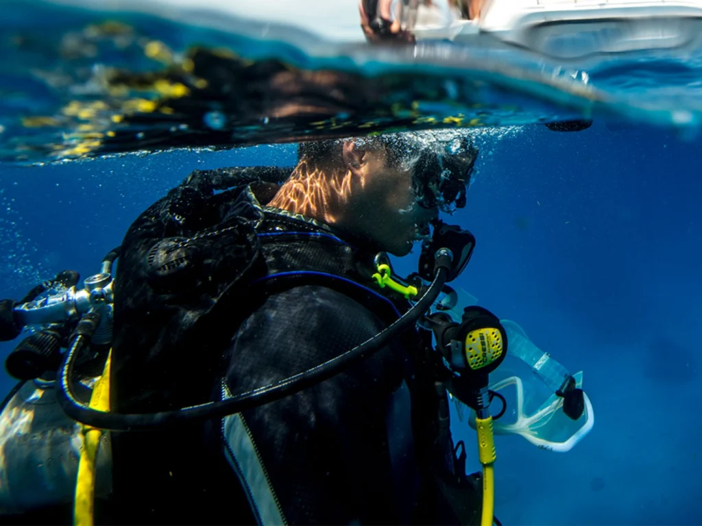 learn to dive