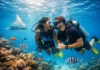 Valentines Day Dive Offer: Dive Together Valentines day