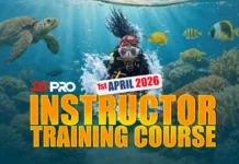 SSI Instructor Training Course May 2026- Start a Life Less Ordinary ITC May