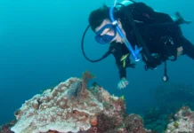 How Do I Use Less Air When Scuba Diving? use less air underwater