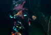 Alternative to the Advanced Open Water Diver Course — Get More For Your Money