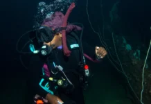Alternative to the Advanced Open Water Diver Course — Get More For Your Money