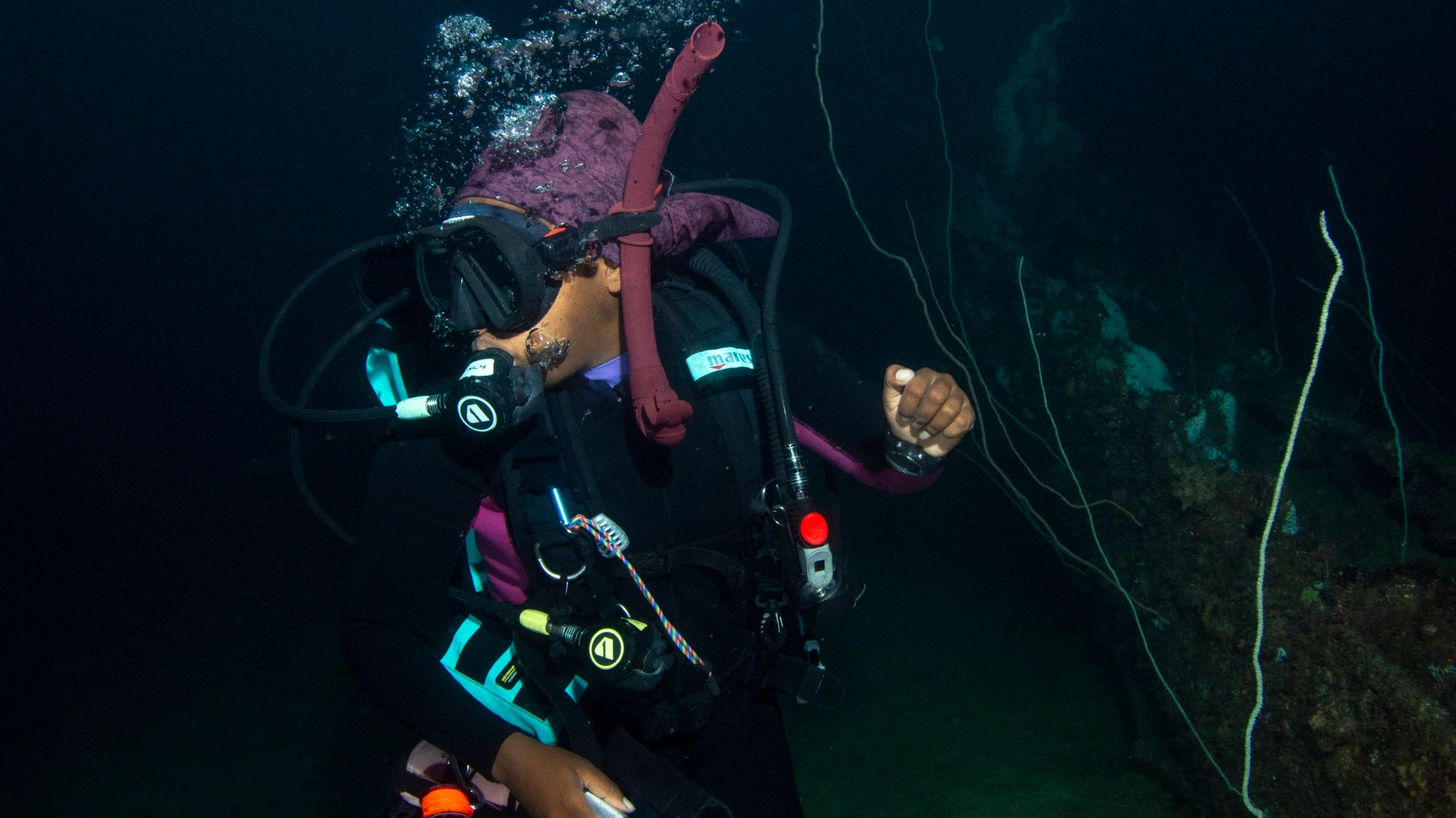 Advanced Alternative advanced dive courses