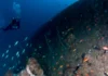 What To Expect On Your Advanced Open Water Scuba Diver Course Advanced Open Water Scuba Diver