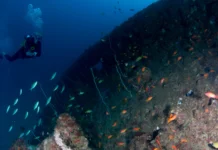 What To Expect On Your Advanced Open Water Scuba Diver Course Advanced Open Water Scuba Diver