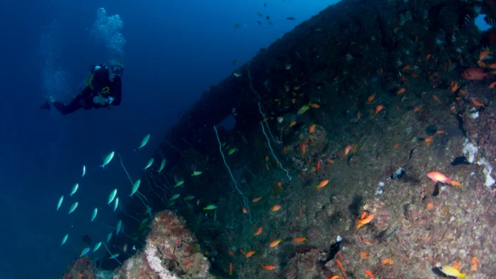 Advanced Open Water Scuba Diver Advanced Open Water Scuba Diver