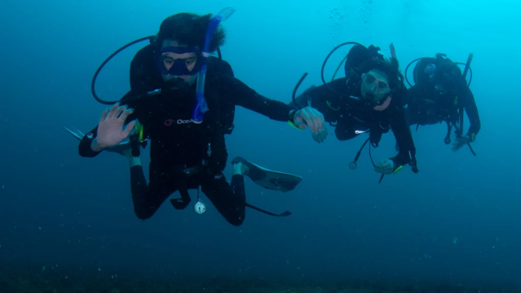 Dive groups size