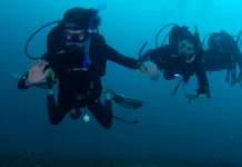 How many divers will be in a group at Ocean Tribe Dive groups size