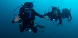 How many divers will be in a group at Ocean Tribe Dive groups size