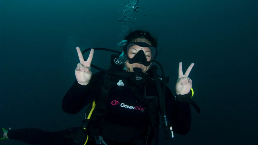 dive internship dive instructor internship