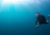 Where Is the Best Place to Learn to Dive in Kenya? learn to dive in Kenya