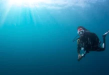 Where Is the Best Place to Learn to Dive in Kenya? learn to dive in Kenya