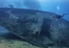 Specialty of the Month: Learn Basic Wreck Penetration with the SSI Advanced Wreck Diver Course MV Alpha Funguo Diani