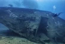 Specialty of the Month: Learn Basic Wreck Penetration with the SSI Advanced Wreck Diver Course MV Alpha Funguo Diani