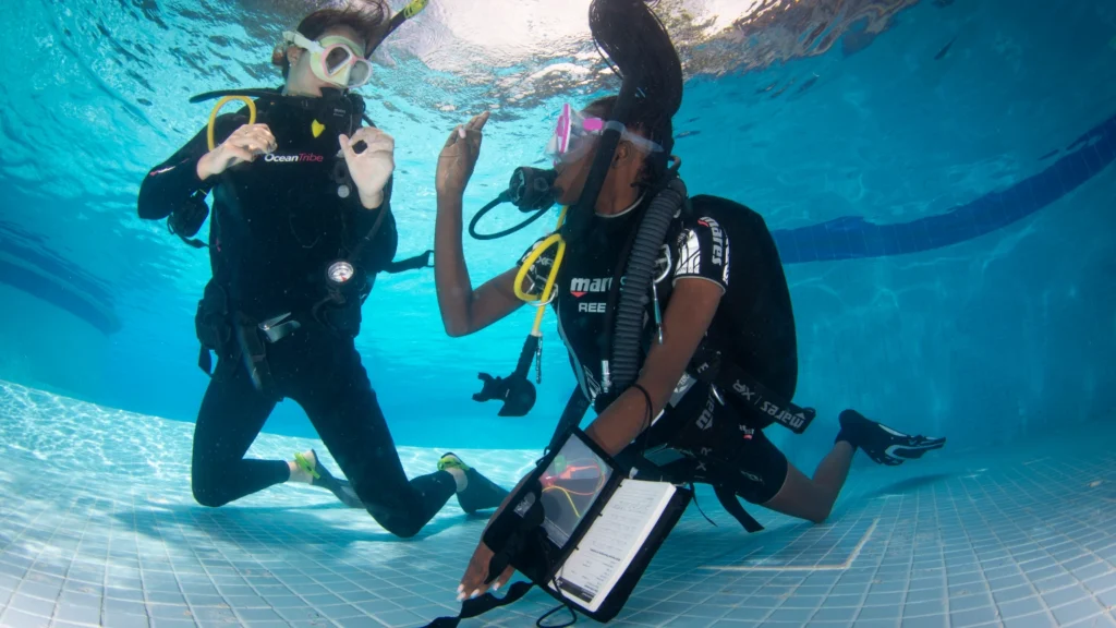Open Water Diver Course in Diani