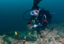 Why Dive with Ocean Tribe in Diani Beach This Summer Open Water Diver Instructor