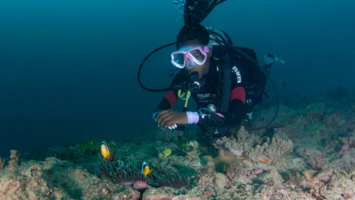 Open Water Diver Instructor