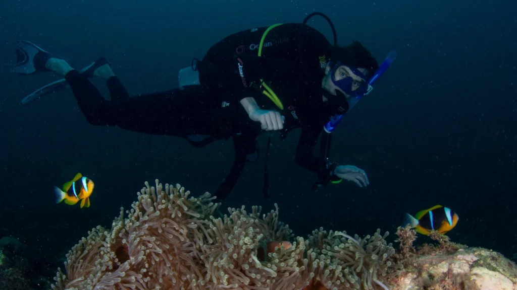 Open Water Diver ocean