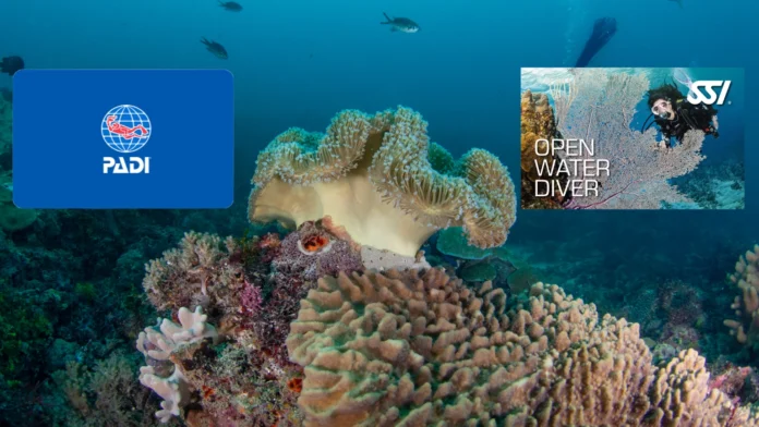 PADI Open Water course vs SSI Open Water Course