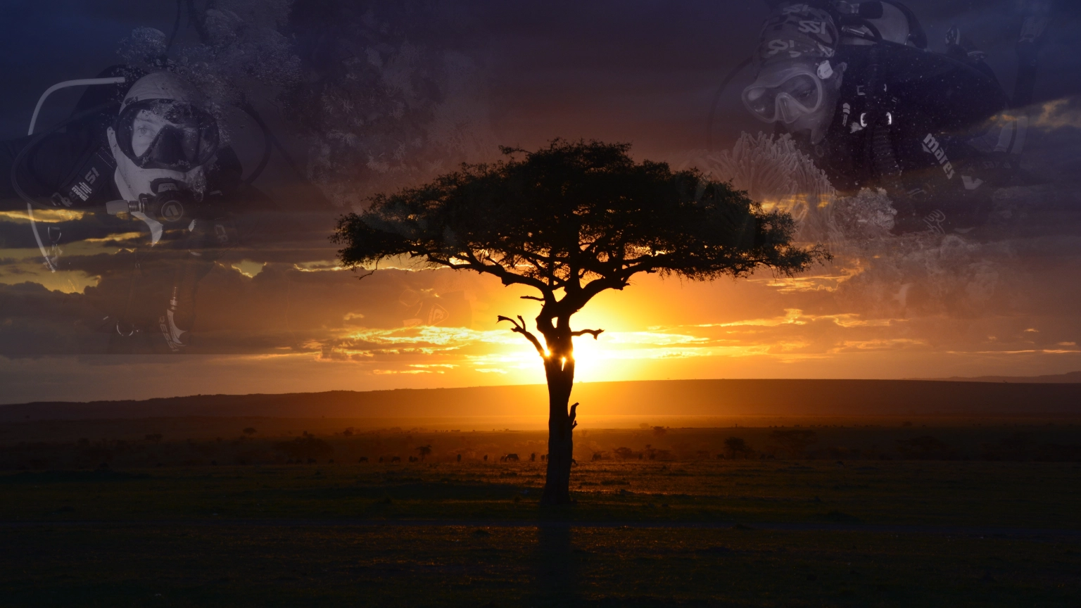 Kenya dive and wildlife safari experience