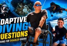 Adaptive Diving Questions – Diving After Paralysis and Working With Divers With Disabilities