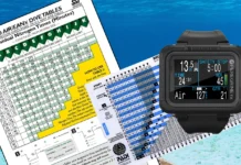 What Is an NDL in Scuba Diving — And Why Does It Matter? What Is an NDL in Scuba Diving