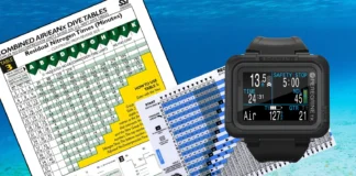 What Is an NDL in Scuba Diving — And Why Does It Matter? What Is an NDL in Scuba Diving