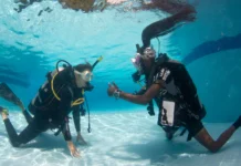 Why It’s a Good Idea to Refresh Your Dive Skills Before Diving Again Open Water Diver Confined Water Learning