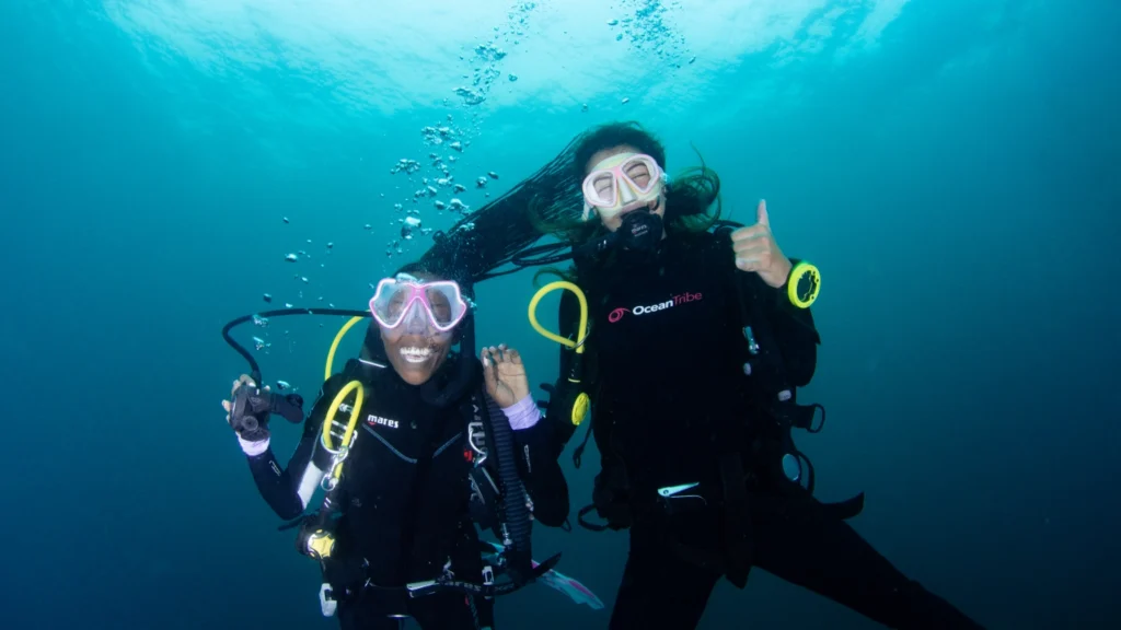 Open Water Divers