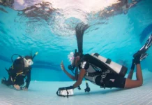 Open Water Diver Course in Diani – Compare What’s Included First Open Water Diver course in Diani learn to dive