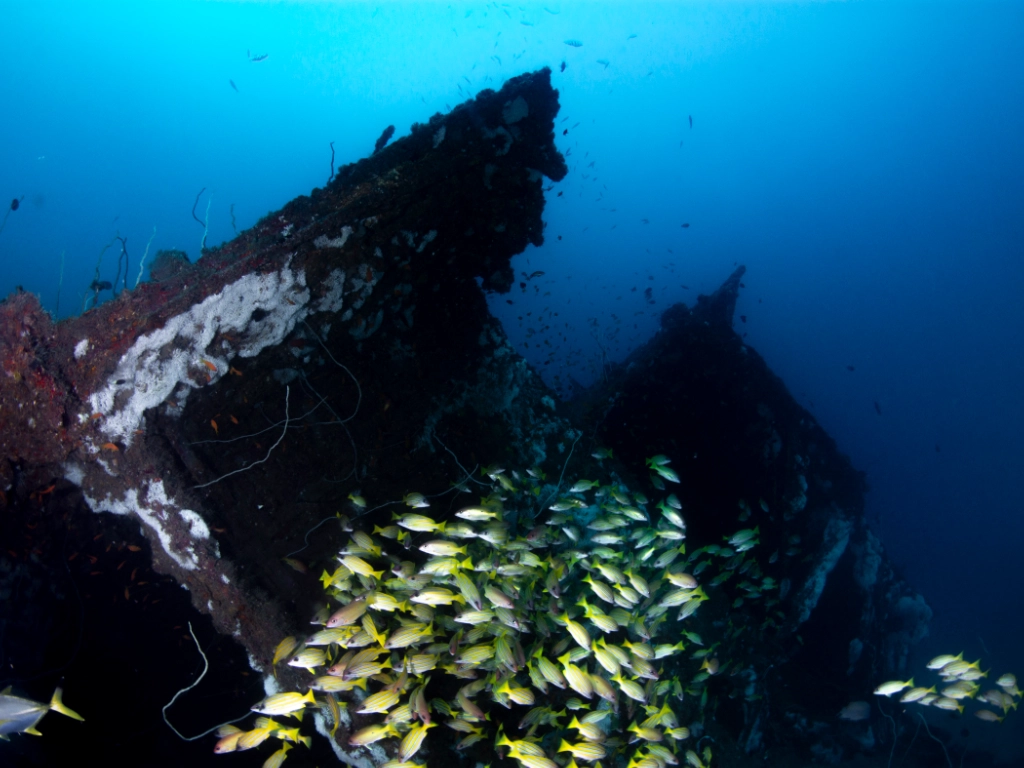 MV Alpha Funguo Wreck