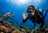 How to Become a Certified Scuba Diver: A Step-by-Step Guide to the Open Water Diver Course become a certified scuba diver