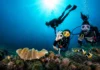 Professional Dive Internships in Kenya | Ocean Tribe Dive internship