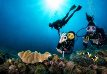 Professional Dive Internships in Kenya | Ocean Tribe Dive internship