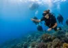 How Much Is a Dive Instructor Internship Actually Worth? dive instructor internship
