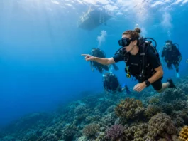 dive instructor internship