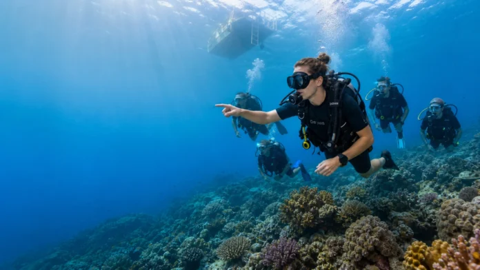 dive instructor internship dive instructor internship