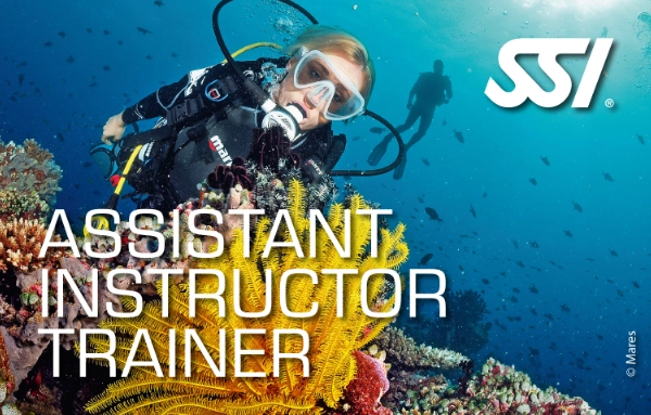 SSI Assistant Instructor Trainer card