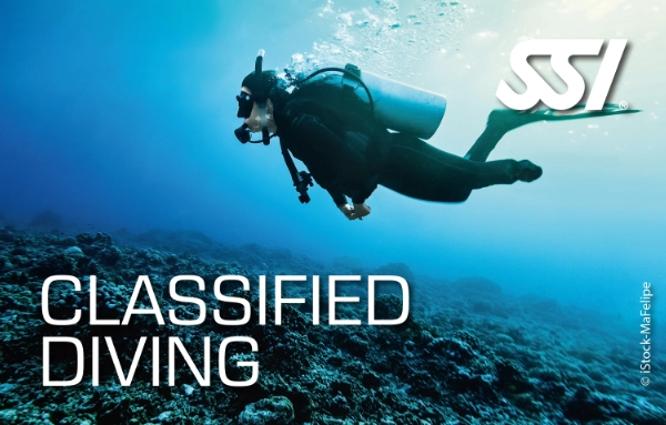 SSI Classified Diving Professional card