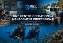 Ocean Tribe Instructor Candidate Package Now Includes Online Dive Centre Management Course Dive Centre Operations & Management Professional