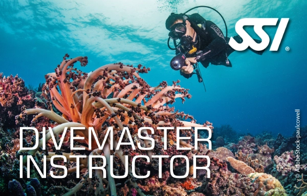 SSI Divemaster Instructor certification card